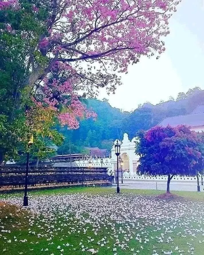 ** Hotel Villa Liyora Kandy Sri Lanka